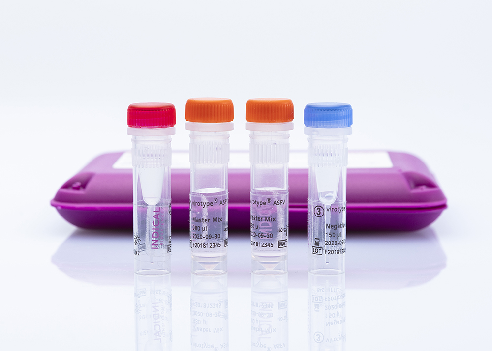 virotype ASFV PCR Kit (96 reactions)