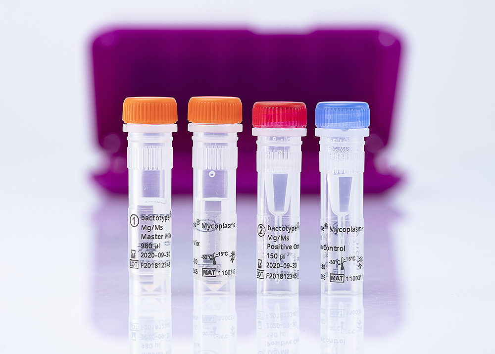 bactotype Mycoplasma Mg/Ms PCR Kit (96 reactions)