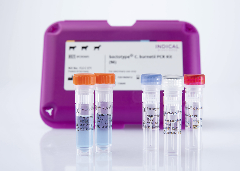 bactotype C. burnetii PCR Kit (96 reactions) 