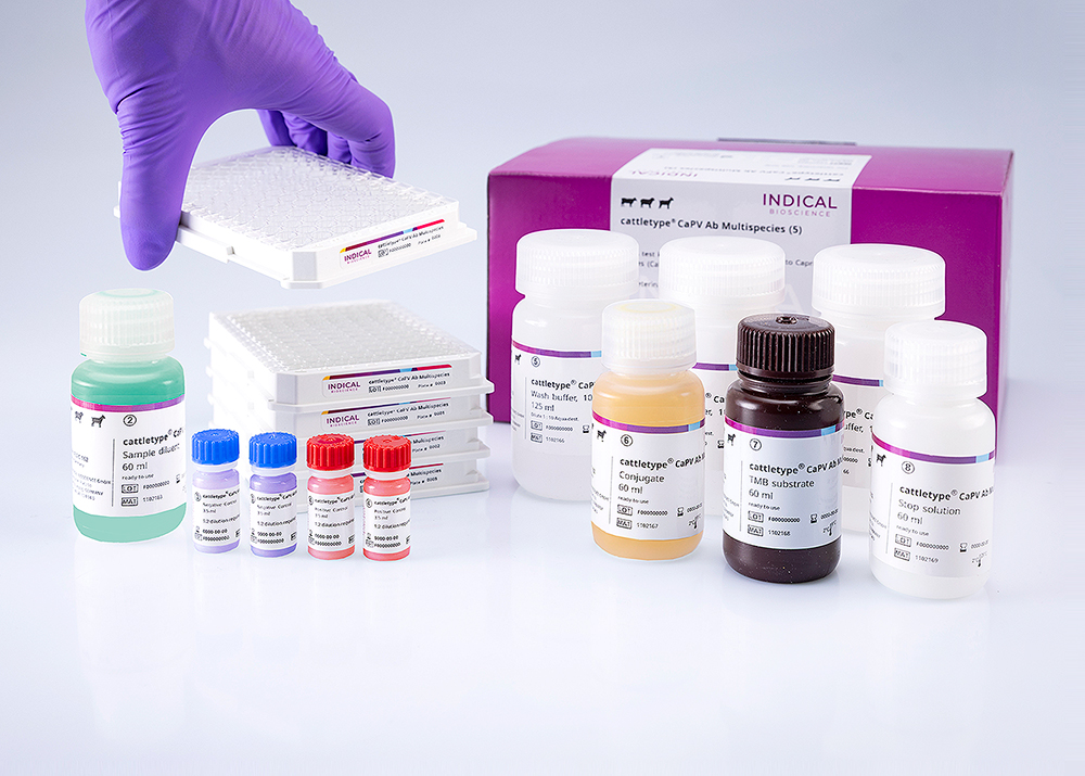 cattletype CaPV Ab Multispecies