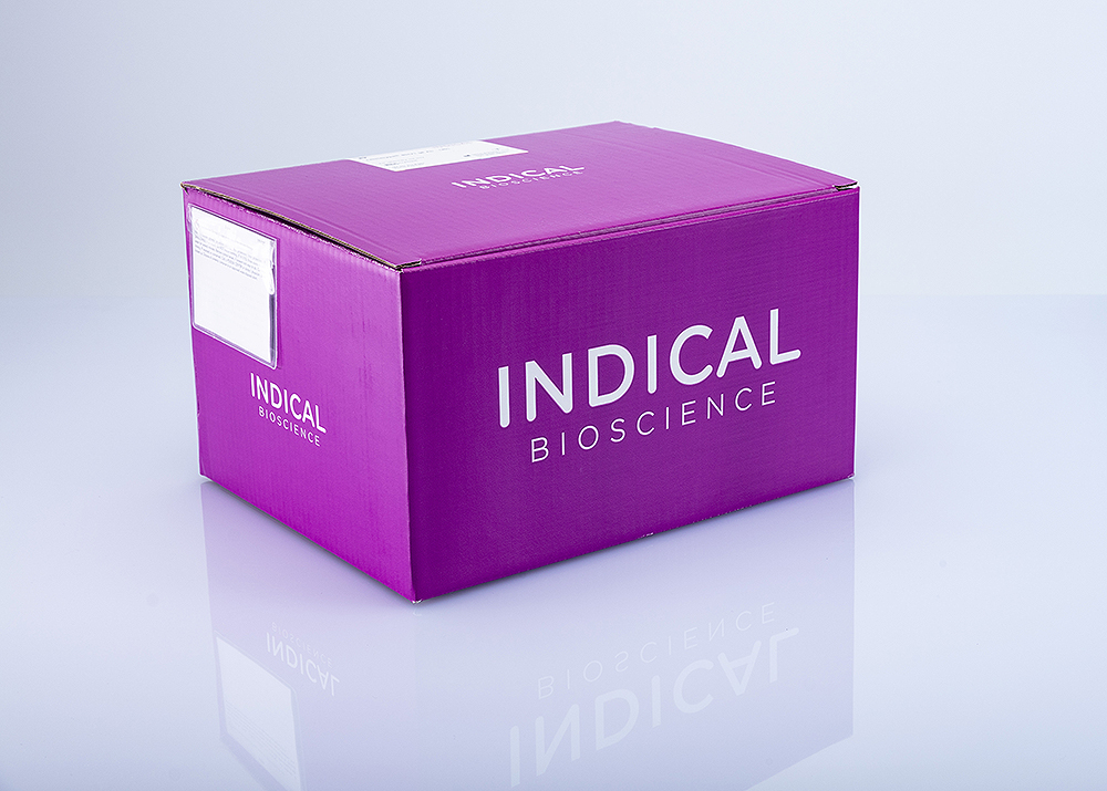IndiSpin QIAcube HT Pathogen Kit (480 reactions) 