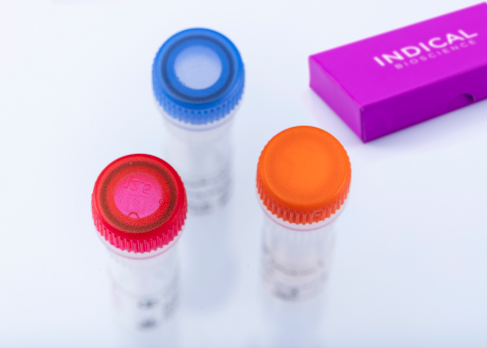 virotype BTV pan/3 2.0 RT-PCR Kit