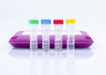 virotype BVDV RT-PCR Kit (24 reactions)