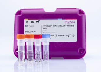 virotype Influenza A RT-PCR Kit (96 reactions)