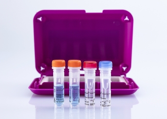 bactotype Mastitis Env PCR Kit (96 reactions) 