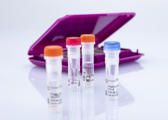 virotype BTV pan/4 RT-PCR Kit (96 reactions) 