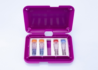 bactotype Mastitis HP3 PCR Kit (96 reactions) 