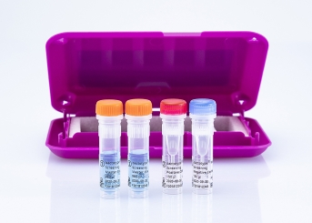 bactotype Mastitis Screening PCR Kit (96 reactions) 