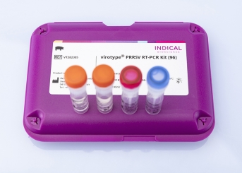 virotype PRRSV RT-PCR Kit 