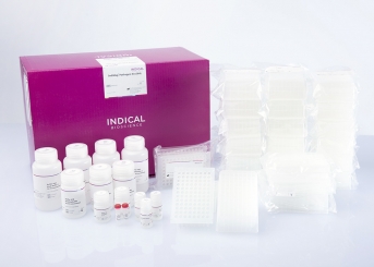 IndiMag Pathogen Kit (384 reactions) 