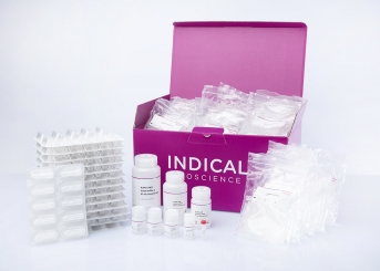 IndiSpin Pathogen Kit (50 reactions)