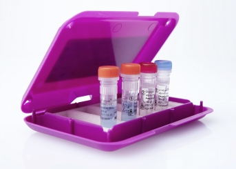 virotype Influenza A H5/H7/H9  RT-PCR Kit (96 reactions) 