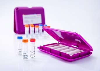 virotype BVDV 2.0 RT-PCR Kit (100 reactions)