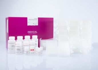 IndiMag Pathogen Kit