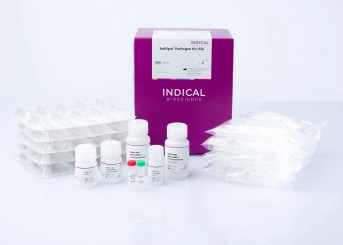 IndiSpin Pathogen Kit