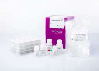 IndiSpin Pathogen Kit