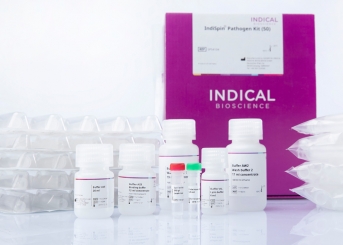 IndiSpin Pathogen Kit