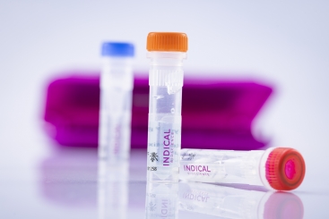 virotype IHNV/VHSV RT-PCR Kit  (100 reactions) 