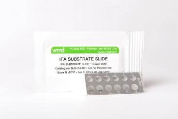 Clostridium spp. FA Substrate Slide (4-well slide) 
