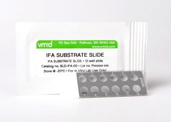 Feline Herpesvirus Type 1 (FHV-1/FVR) FA Substrate Slide (12-well Slide) 