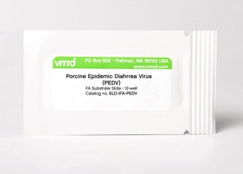 Porcine Epidemic Diarrhea Virus (PEDV) FA Substrate Slide (12-well slide) 