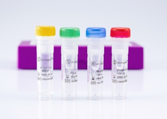 virotype PRRSV EU Vax RT-PCR Kit