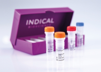 virotype PRRSV 2.0 RT-PCR Kit