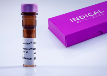 virotype PRRSV PRO Primers/Probes 