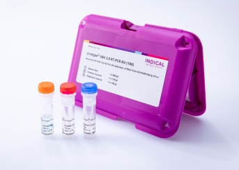 virotype SBV 2.0 RT-PCR Kit (100 reactions) 
