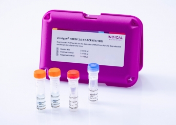 virotype PRRSV 2.0 RT-PCR Kit (100 reactions) 