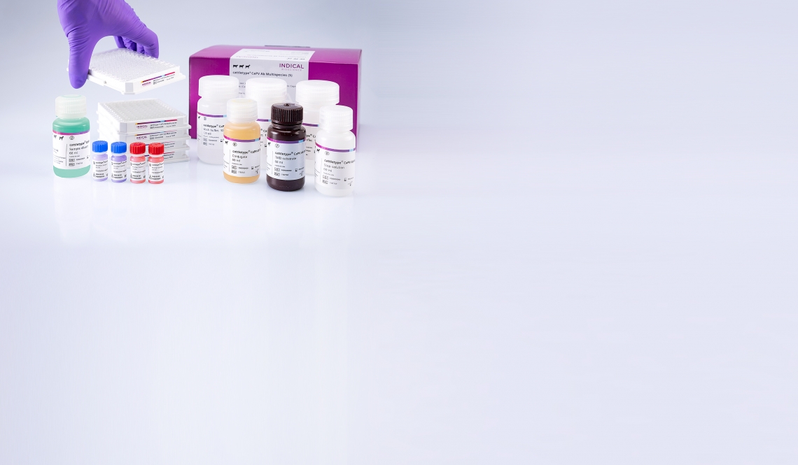 cattletype CaPV Ab Multispecies