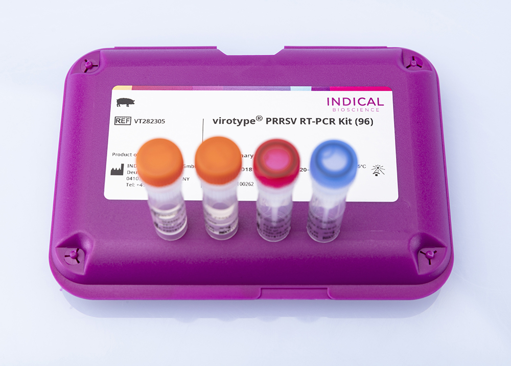 INDICAL BIOSCIENCE  virotype PRRSV RT-PCR Kit (96 reactions